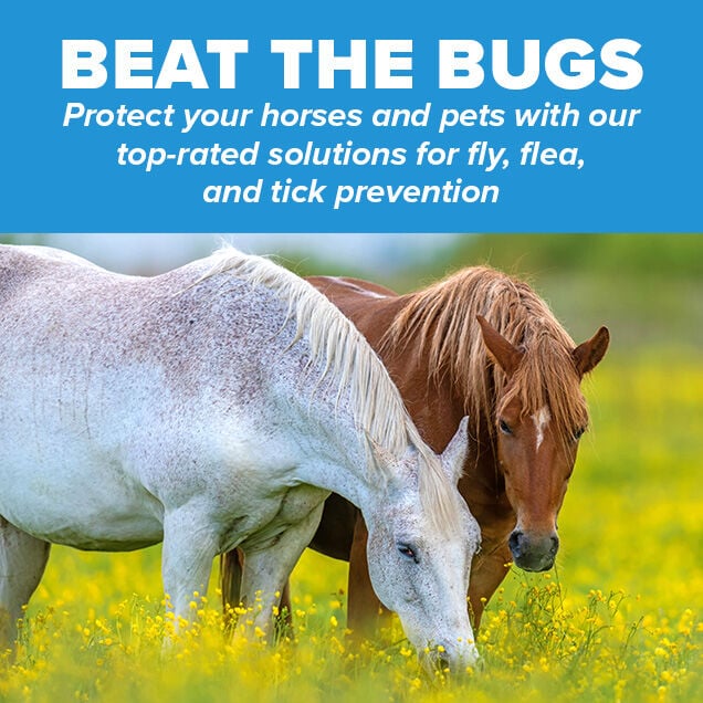 Beat the Bugs: Protect your horses and pets with our top-rated solutions for fly, flea, and tick protection.